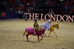 Quadrille - 00477